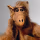 alf000117