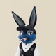 0xd7ca0a3d511ff85145fb215182d32a5cbd332b6b