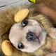 0xd7d84c8910ab409506bb506d2b7a84e53060e35e