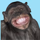 FreekyCrypto