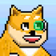 FDC_YOLOCAT_SUNRE000