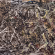 Alchemy_gallery