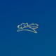 idDOG_Labs