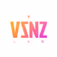 VSNZ_LAB