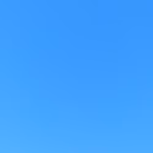 OpenSea banner for @adelaide