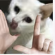 dsyfghtujyt