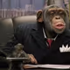nigga_monkey