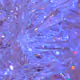 0xd9287d2ef5bbd35d3ba56705530c524effb6b93d