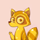 RaccoonsTeam