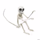 Superskeleton