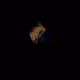 0xd95d4b43514692e8f41b16803ca8249916596856