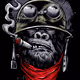Johnny99NFT