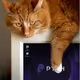 luckypopop