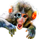 Stuffsadoozy