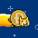 Doge_boy