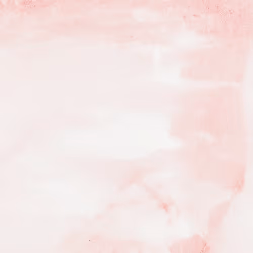 OpenSea banner for @Literature