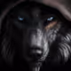 Mr77