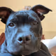 dustydylan.eth