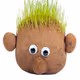 GrassHead_II