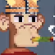 NiktoFlex