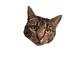 rikii.eth