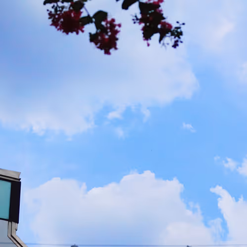 OpenSea banner for @holing