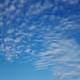 Bell_E6