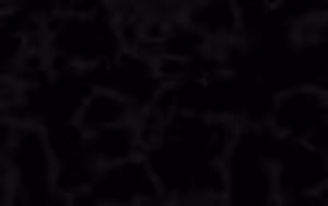 OpenSea banner for @Rolls