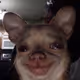 wonshot.eth