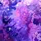 0xda867406ea9638df8361fc350773a75f90acbd7b