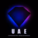 UnlimitedArtEnt