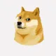 Dogruto