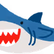 sharkkkkkkkkk