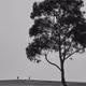 LonelyPhotography