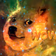 Doge-Ledger