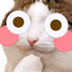 Lavendel