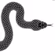 xsnek