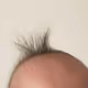 0xdaf975f70f8bfbddaf3298881aca0c3990b27603