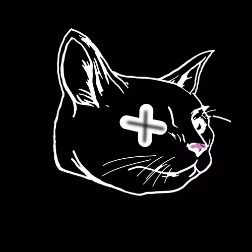 OpenSea profile picture for @kibarasun