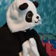 Project_PANDA