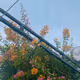 kuem1020