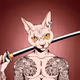 cat1111111111111111111111