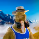MightyJoski