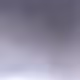 morphie_wallet