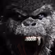 CryptonianApe