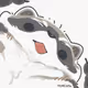 m6cat.eth