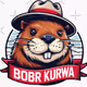 BobrinioSer