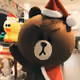syoungWHY