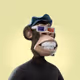CryptoGuy2021