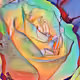 0xdbe0c3a628eccdc91d61923ba533463cea5d1a75
